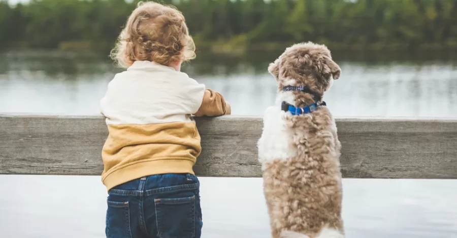 7 melhores raças de cachorros para crianças