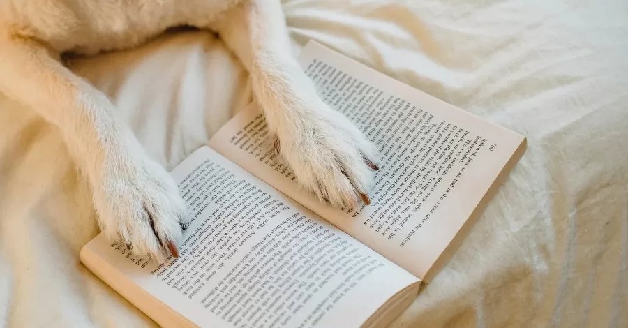 Conheça 3 livros inspirados em animais!