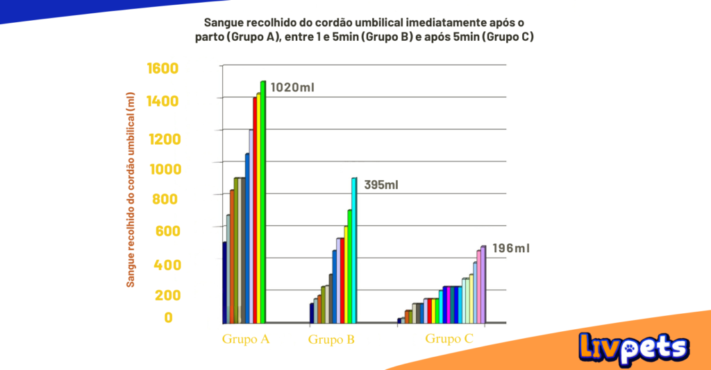 PRINCIPAIS CUIDADOS COM NEONATOS EQUINOS