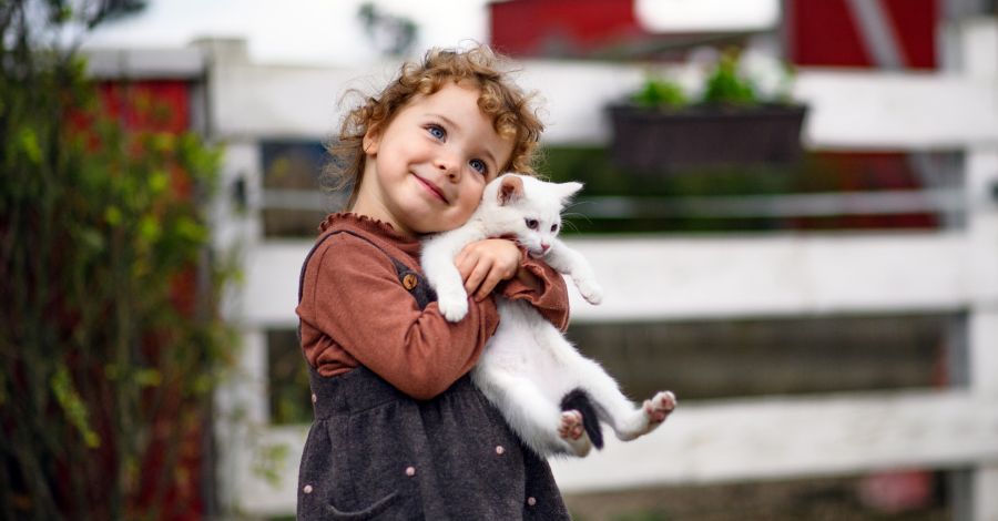 Como Fazer Seu Gato Te Amar?